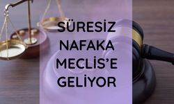 Süresiz nafaka Meclis'e geliyor