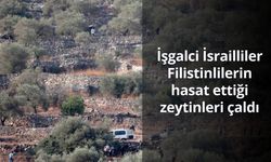 İşgalci İsrailliler, Filistinlilerin hasat ettiği zeytinleri çaldı