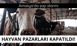 Amasya'da hayvan pazarları kapatıldı