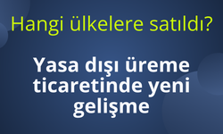 Yasa dışı üreme ticaretinde yeni gelişme