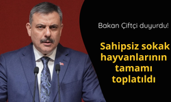 Bakan Çiftçi: Sahipsiz sokak hayvanlarının tamamını topladık
