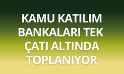 Kamu katılım bankaları tek çatı altında toplanıyor