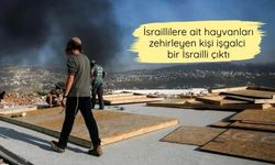 İsraillilere ait hayvanları zehirleyen kişi işgalci bir İsrailli çıktı
