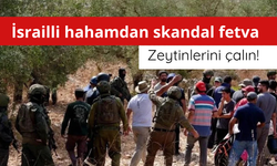 İsrailli hahamdan skandal fetva: Zeytinlerini çalın!