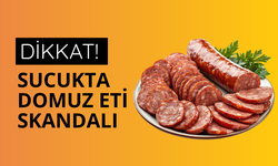 2,6 ton sucukta domuz eti tespit edildi, işletme kapatıldı