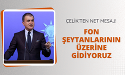 Çelik: Fon şeytanlarının üzerine gidiyoruz