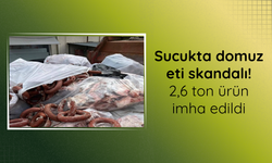 2,6 ton sucukta domuz eti tespit edildi, işletme kapatıldı