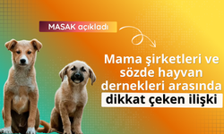 Mama lobisinin kirli finansal ilişkileri deşifre edildi