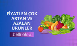 Eylülde fiyatı en çok artan ve azalan ürünler belli oldu