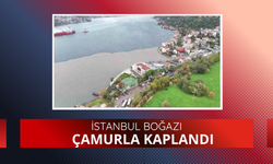 İstanbul Boğazı çamurla kaplandı