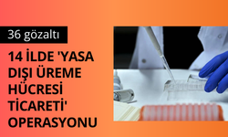 14 ilde 'yasa dışı üreme hücresi ticareti' operasyonu: 36 gözaltı