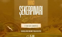 Niğde 1. Şekerpınar Şiir Akşamları başlıyor