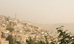 Mardin ve Şanlıurfa'da toz taşınımı etkili oldu