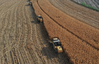 Tarımsal destekleme ödemesi bugün yapılacak