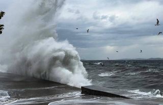 Bazı feribot seferleri iptal edildi