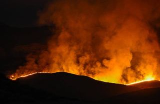 California'da 12 bin hektardan fazla alan yandı
