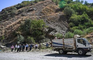 Şırnak'ta kayalar yuvarlandı! 20 hayvan telef oldu