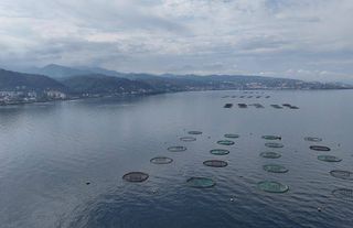 Su ürünleri avcılığı sözleşmeli üretim kapsamına alındı