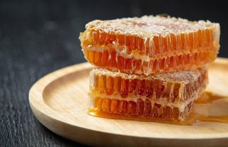 Ilgaz'da satılan bal rekorlar kitabına girdi