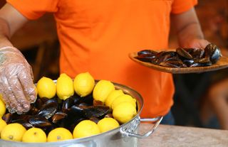 İzmir'de kaçak avlanan 27 ton midye ele geçirildi