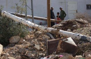 Katil İsrail, işgal altındaki Batı Şeria'da bir haftada 1608 zeytin ağacını kökünden söktü