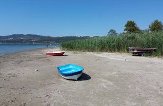 Sapanca Gölü'ndeki kuraklık suyun kalitesini de düşürüyor