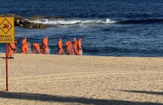 Avustralya'da köpek balıkları 2 çocuğa saldırdı