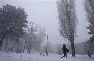 Doğu Anadolu'da 5 ilde soğuk hava ve sis etkili oluyor