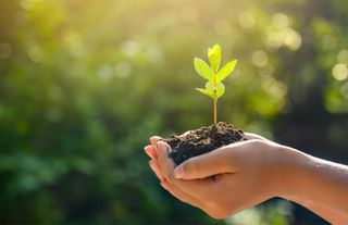 Erzurum'da 'Uzlaştırma Ormanı' oluşturulacak