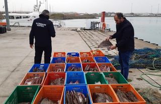 Kaçak kalkan balığı avı pahalıya patladı