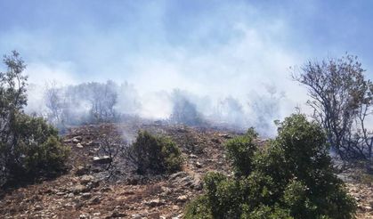 Kilis'te makilik alanda çıkan yangın söndürüldü