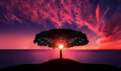 Es Sabur Esmaül Hüsnası manası ve faziletleri