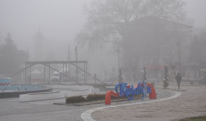 Eskişehir ve Kütahya'da sis etkili oldu