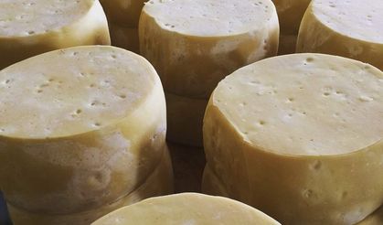 "Malkara eski kaşarı"nın AB coğrafi işaret tescili alması için başvuru yapılacak