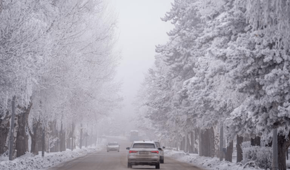 Erzurum buz kesti: Tekman eksi 34 derece
