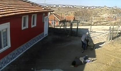 Çorum'da köpek saldırısı! 3 kişi yaralandı