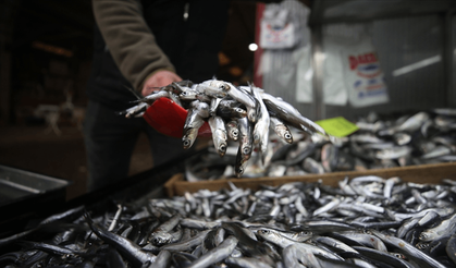 Trabzon'da balık tezgahlarında çeşitlilik dikkat çekiyor