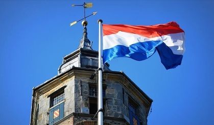 Hollanda'da Batı Nil virüsü alarmı