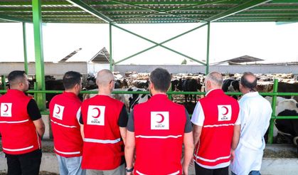 Türk Kızılay'dan Kırgızistan'da kurban eti yardımı