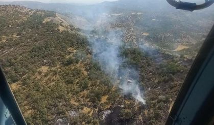Bursa'da çıkan orman yangınına müdahale ediliyor