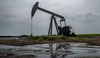 Brent petrolün varili 111,29 dolar