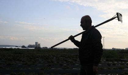 Tarım işçilerinin günlük ücreti arttı