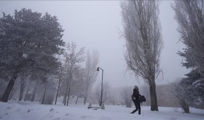 Düzce'de kar yağışı ekili oldu