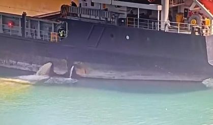 Mersin’de denizi kirleten gemiye dev ceza