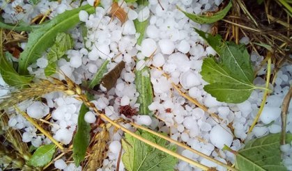 Mayıs ve haziranda dolu riski artıyor