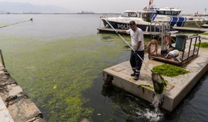 İzmir Körfezi'nde yosun tabakası oluştu