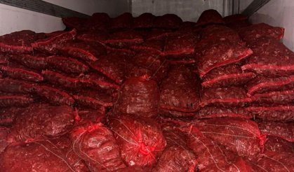 10 ton kaçak midye ele geçirildi