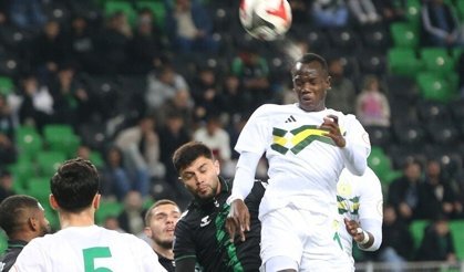 Sakaryaspor 2. Lig'e düştü