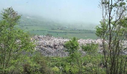 Sinop'ta çevreyi kirleten tesise ceza