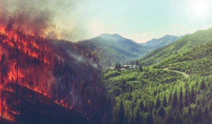 El Nino orman yangını riskini artırıyor